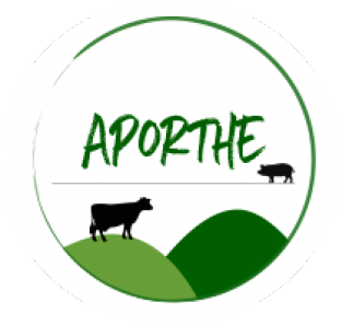 Aporthe 0.png