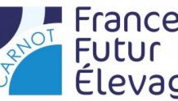 Logo F2e 2018 Sans Baseline.jpg
