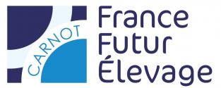 Logo F2e 2018 Sans Baseline.jpg