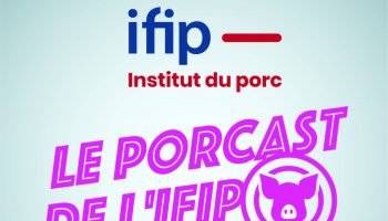 Porcast Ifip2021b