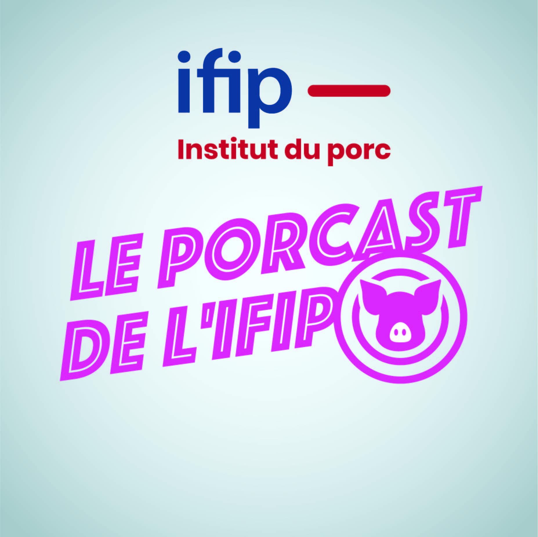 Porcast Ifip2021b