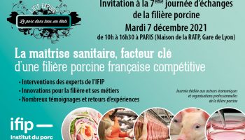Save Ag Ifip 2021