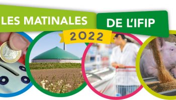 Bandeau Matinales Ifip 2022