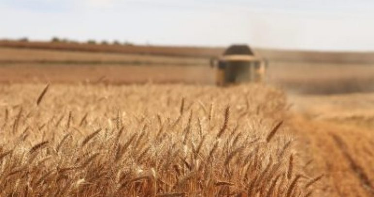 Image for Matières premières : Un contexte vecteur de volatilité
