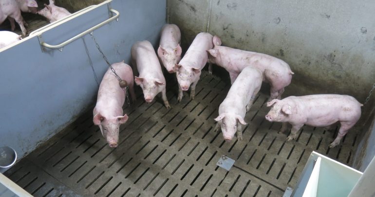 Image for L’aménagement des cases : importance des petits détails