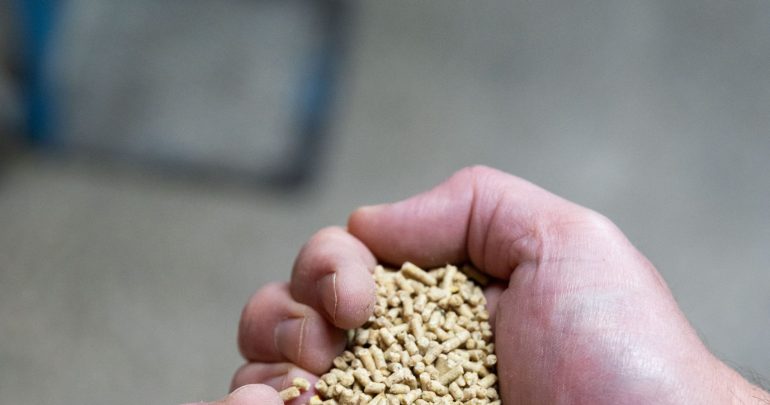 Image for Le groupe MetEx en redressement judiciaire