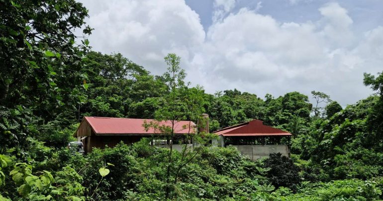 Image for Réseau DOM : Références Technico-Economiques des filières porcines de Guadeloupe et Martinique