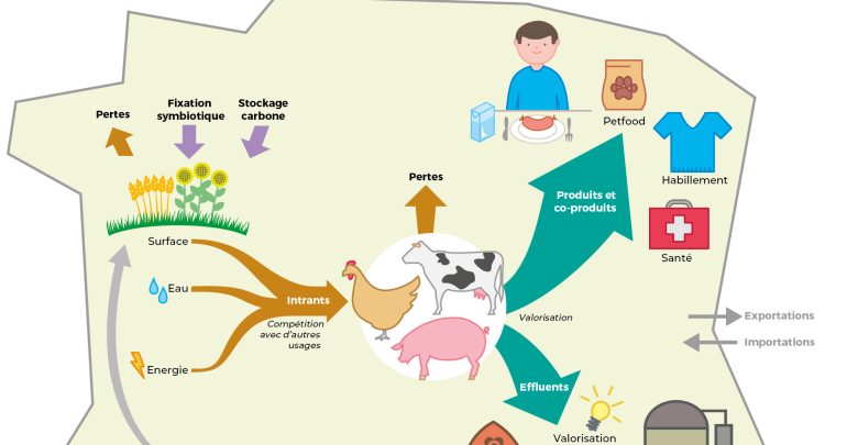 Image for Chiffres clés de la place des élevages dans le système agri-alimentaire Français (RMT MAELE)