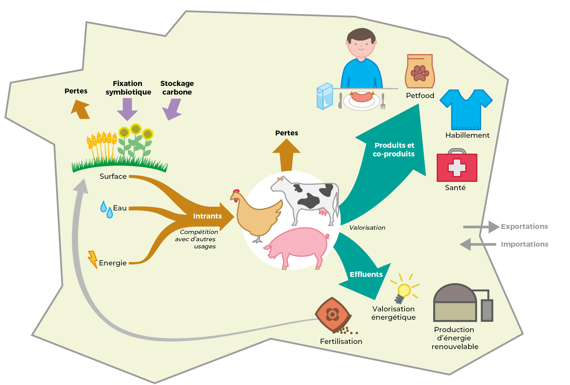 Illustra Journees Maele 2025