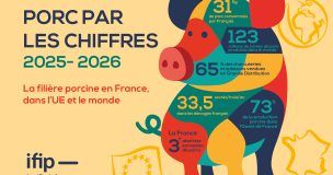 Ppc Ifip2026