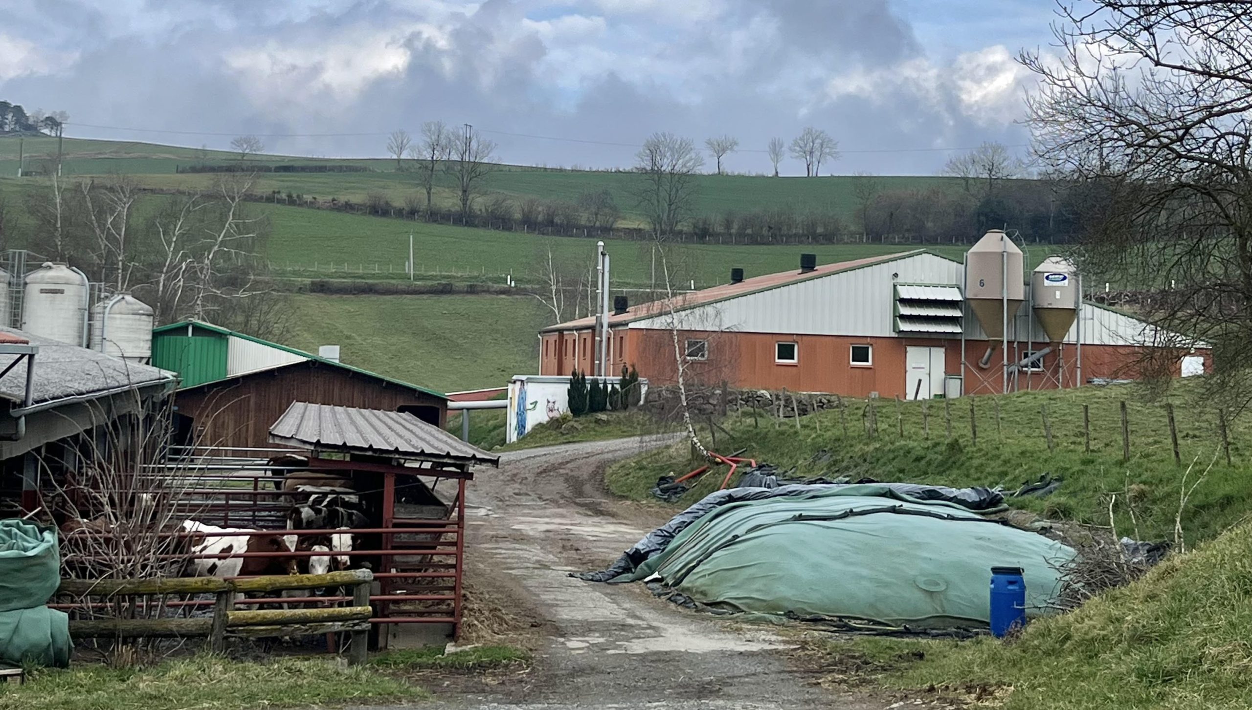 Construction d’un réseau d’exploitations porcines en France métropolitaine