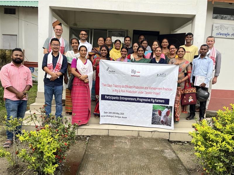 Inde Ifip3
