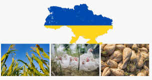 Droit De Douane Ukraine 3