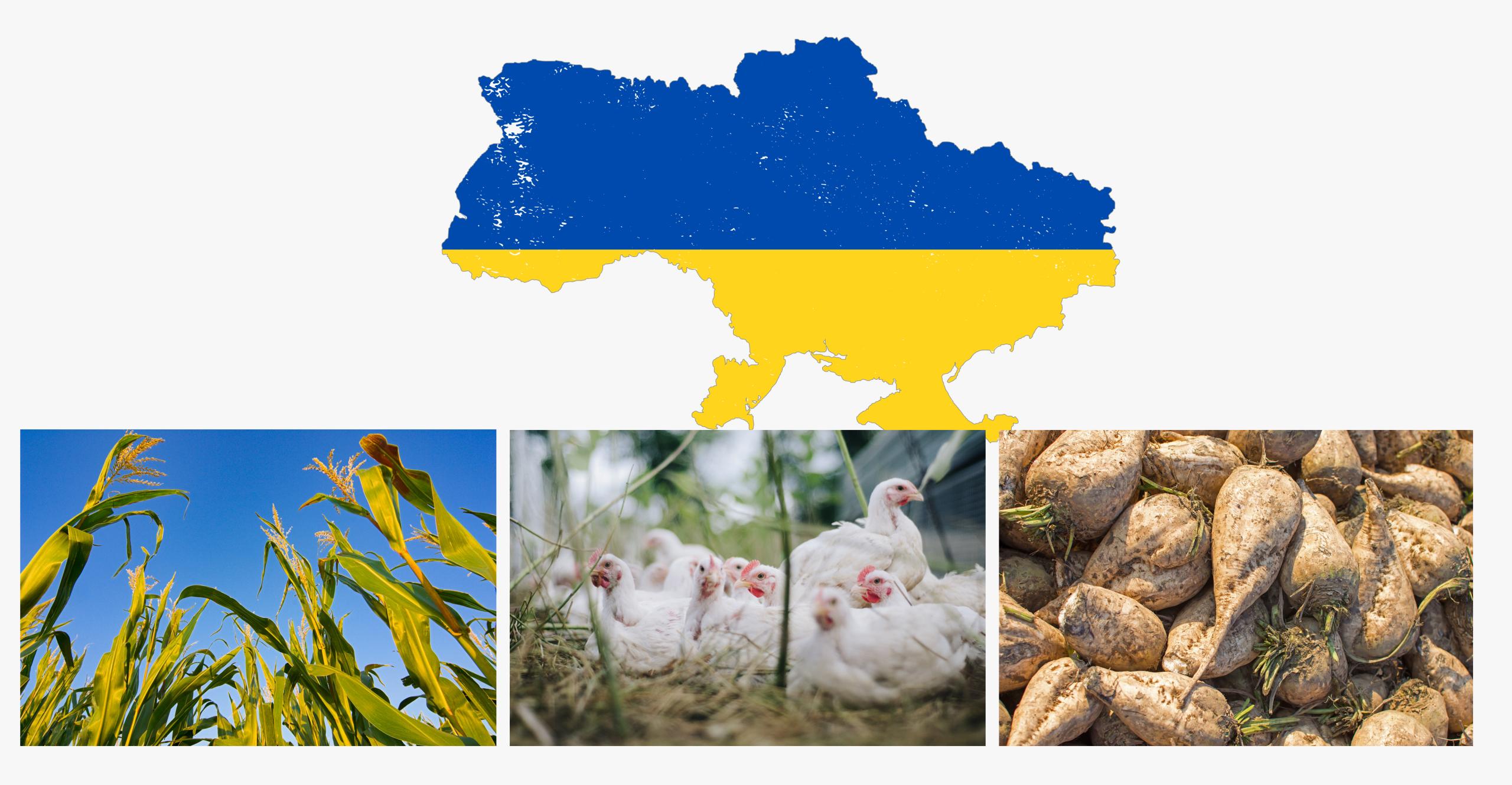 Droit De Douane Ukraine 3