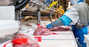 Abattoir