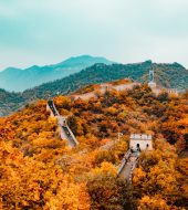 Chine
