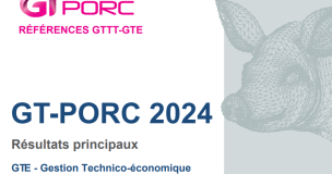 Gt Porc24