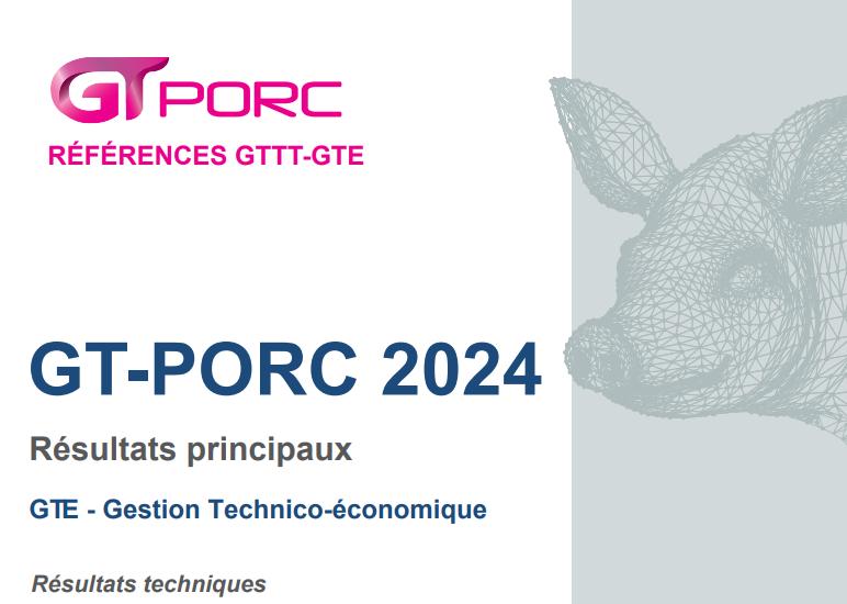 Gt Porc24