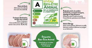 Lire Etiquette Porc