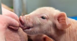 Baisse Des Coûts De Production 2024