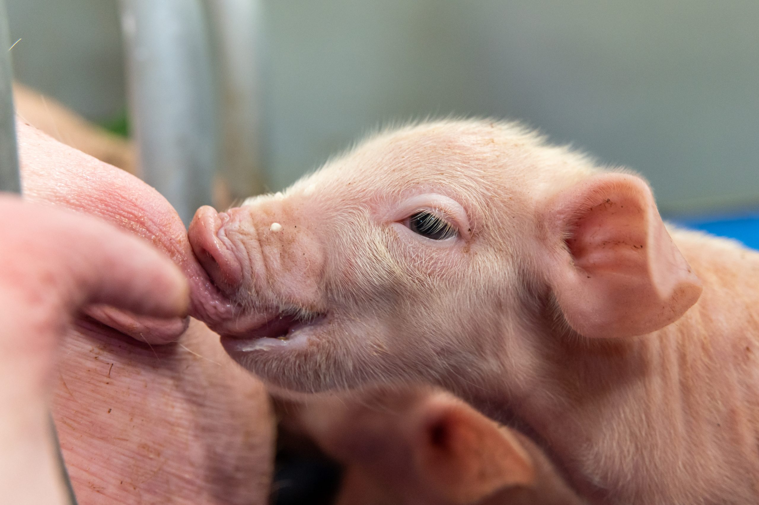 Baisse Des Coûts De Production 2024