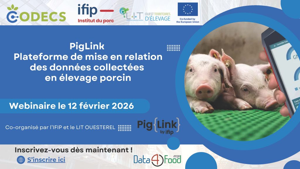 Visuel Webinar Piglink1
