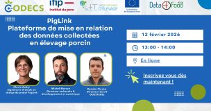 Visuel Webinar Piglink3