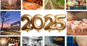 Noel 2025 Compressé Or