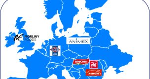 Analyse Wh Colosse Chinois