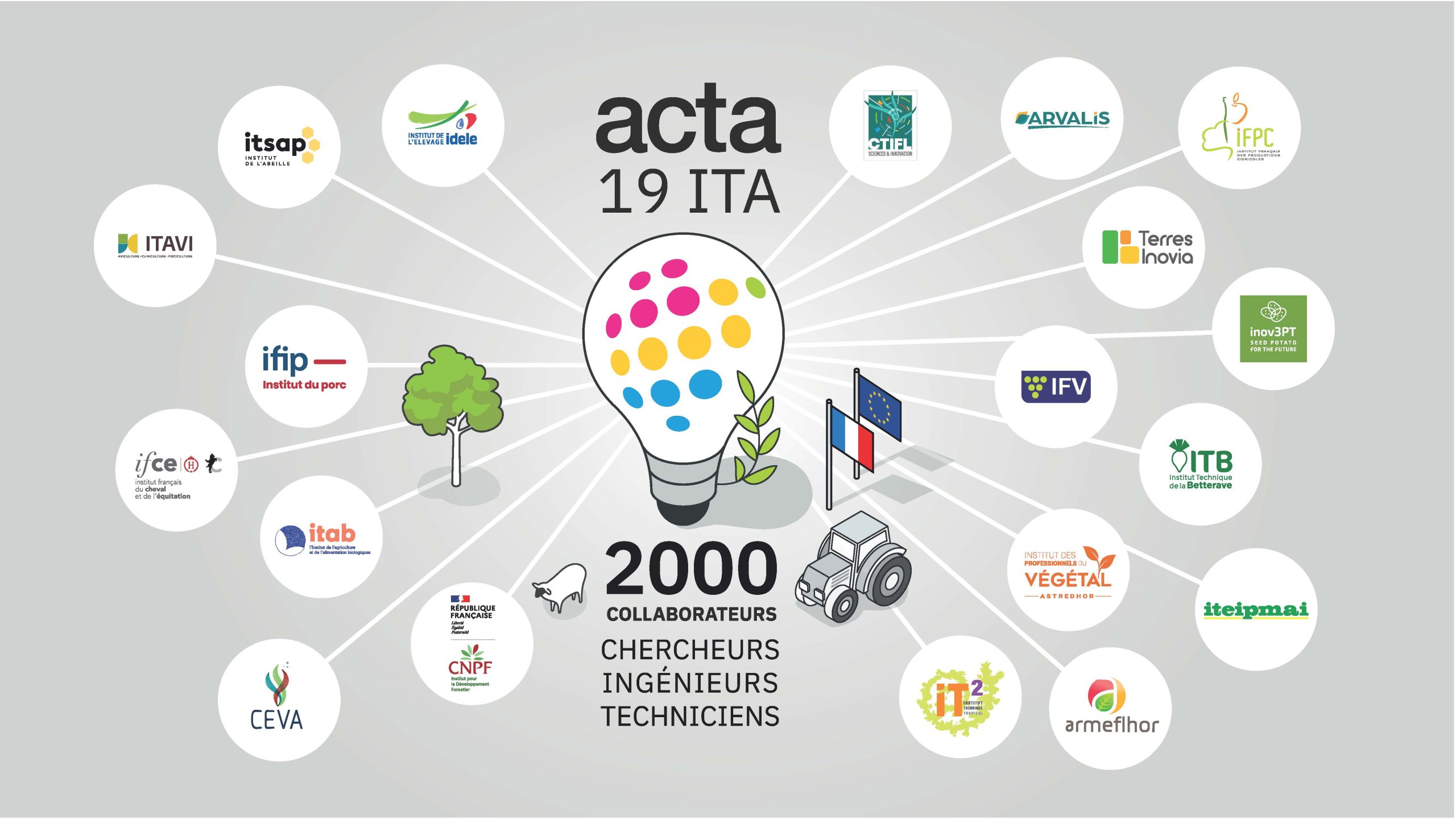 Acta Ita Ampoule & Logos 2026