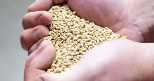 Alimentation Animale