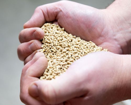 Alimentation Animale