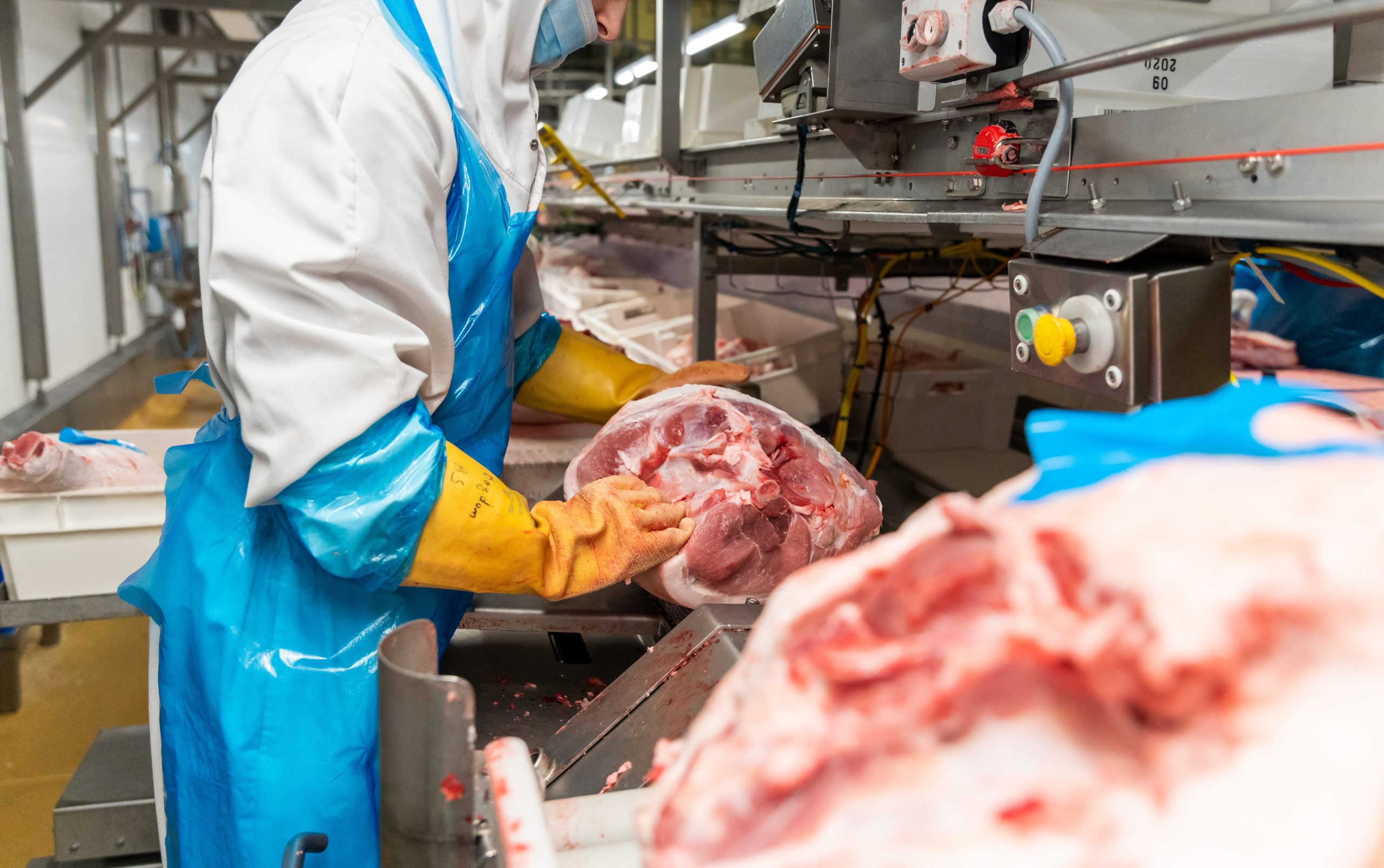 Défaillance entreprises