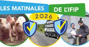 Matinales Ifip 2026 Medailon