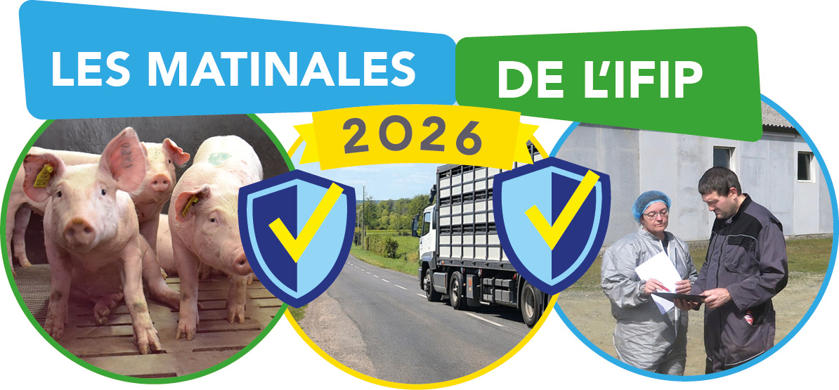 Matinales Ifip 2026 Medailon