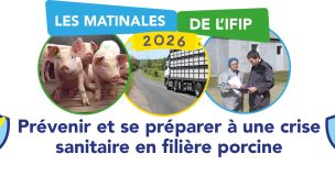 Matinales Ifip 2026 Medailon Titre