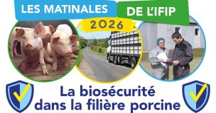Matinales Ifip 2026 Medailon Titre