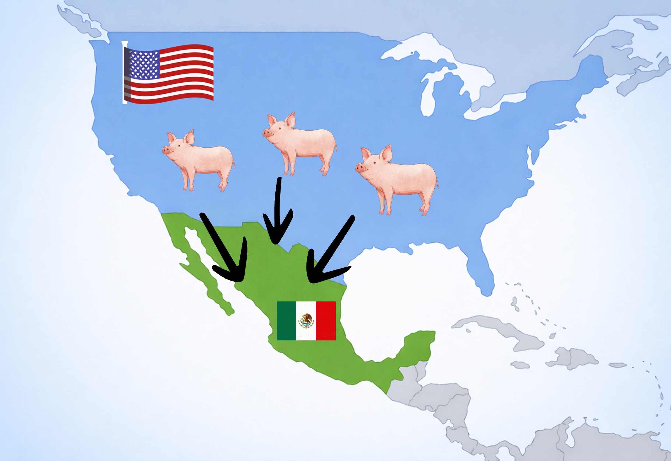 Mexique Ouvre Une Enquête Antidumping Sur Le Porc Américain