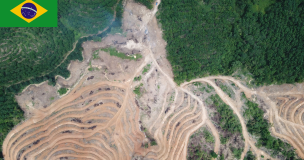 Moratoire Josa Brésil