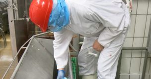 White Offals Gutter Chiffonnette Abattoir Alain