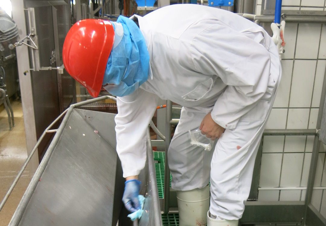 White Offals Gutter Chiffonnette Abattoir Alain