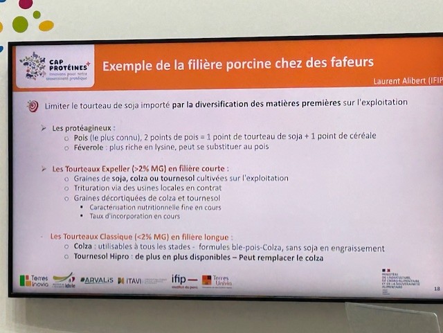 8c8cb229 0b75 4c0a 864e 8a3d238b8527