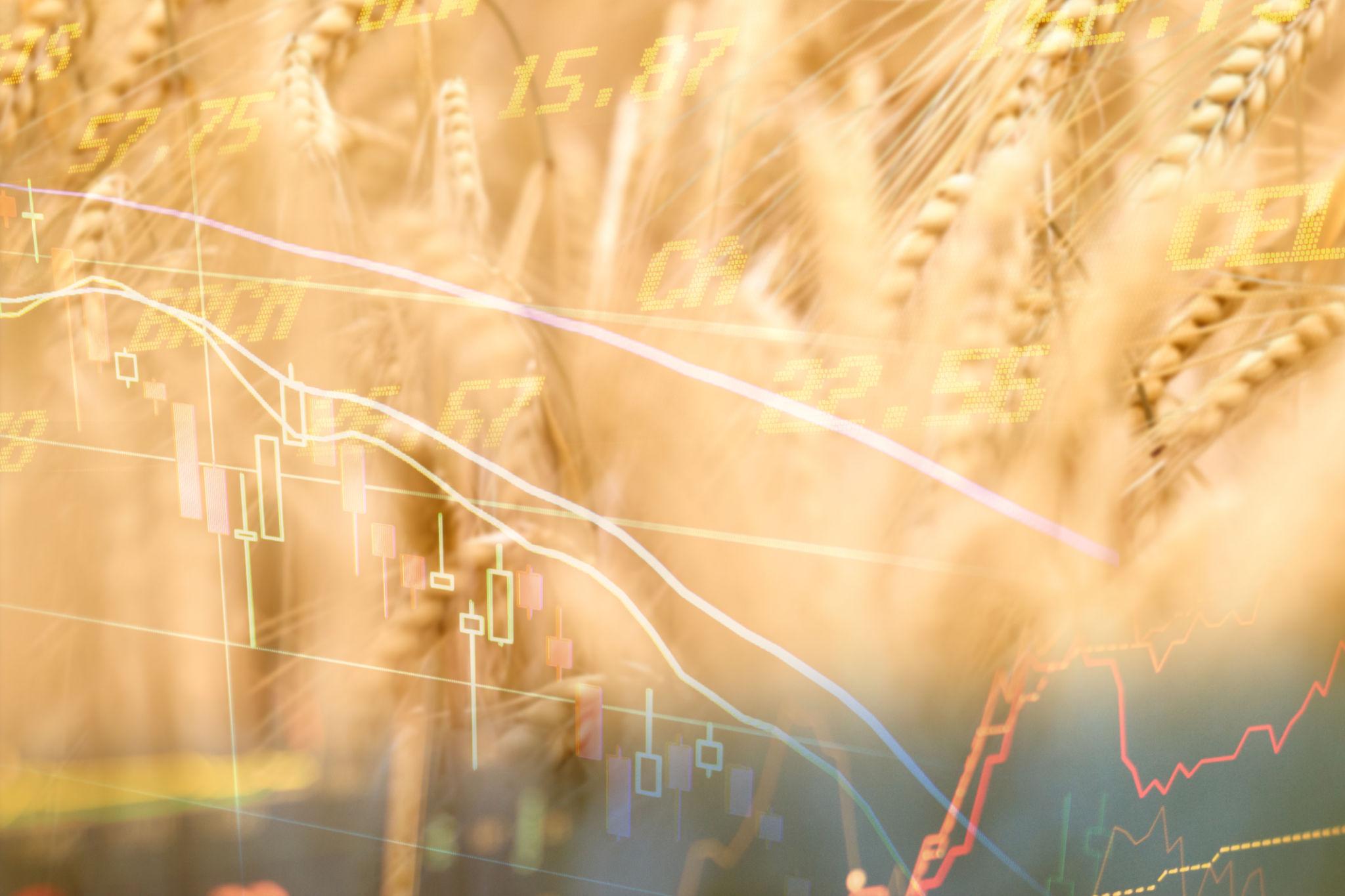 Les Prix Des Matières Premières Retrouvent Du Soutien Dans Un Contexte Climatique Et Géopolitique Tendu