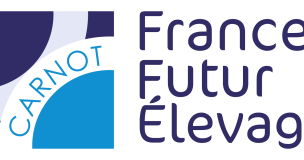 Logo Ffe 2020 Transparent (4)