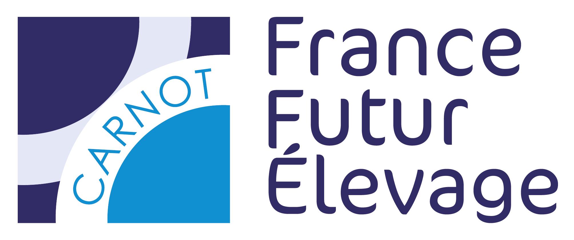 Logo Ffe 2020 Transparent (4)