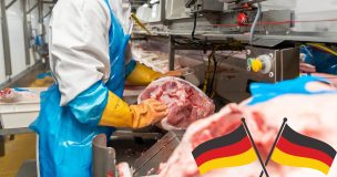 Restructuration Du Secteur Allemand De La Charcuterie