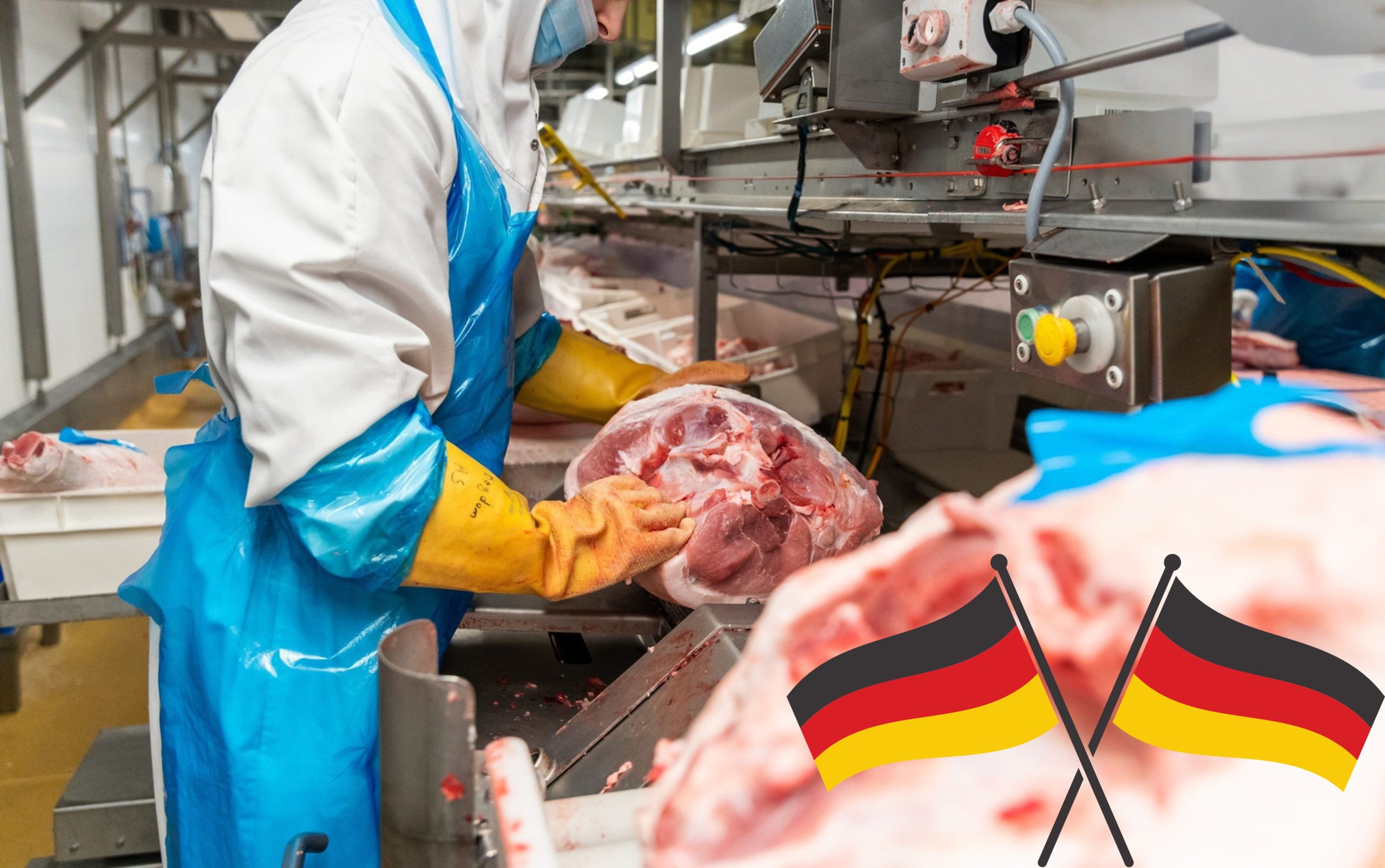 Restructuration Du Secteur Allemand De La Charcuterie