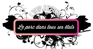 Ifip Expose