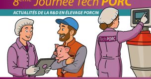 Rectangle 8j Techporc