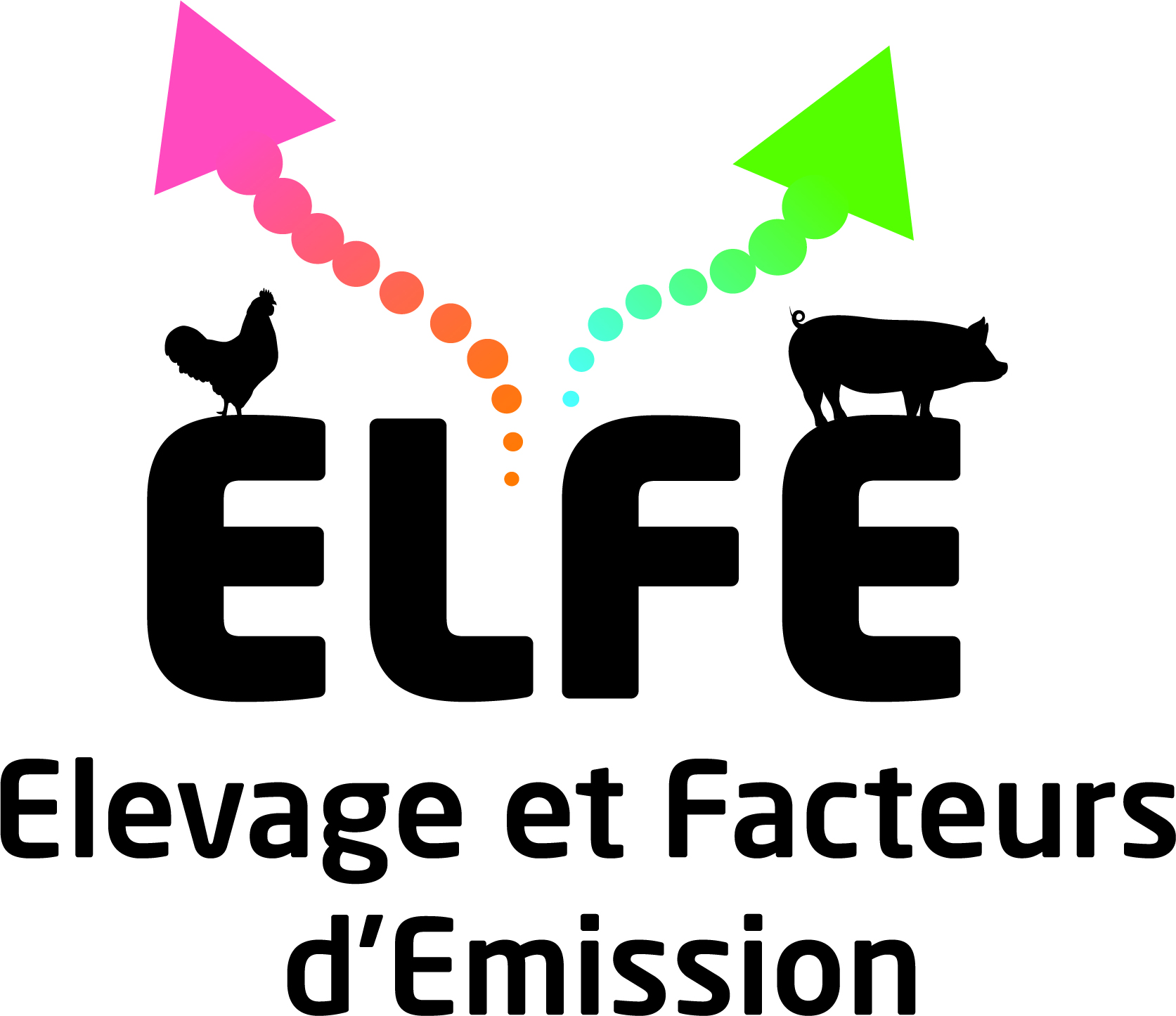 Elfe Noir